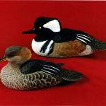 Hooded Mergansers - World Pairs