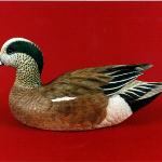 Widgeon Drake - Decorative Floating Lifesize