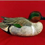 Green-winged Drake - Decorative Floating Lifesize